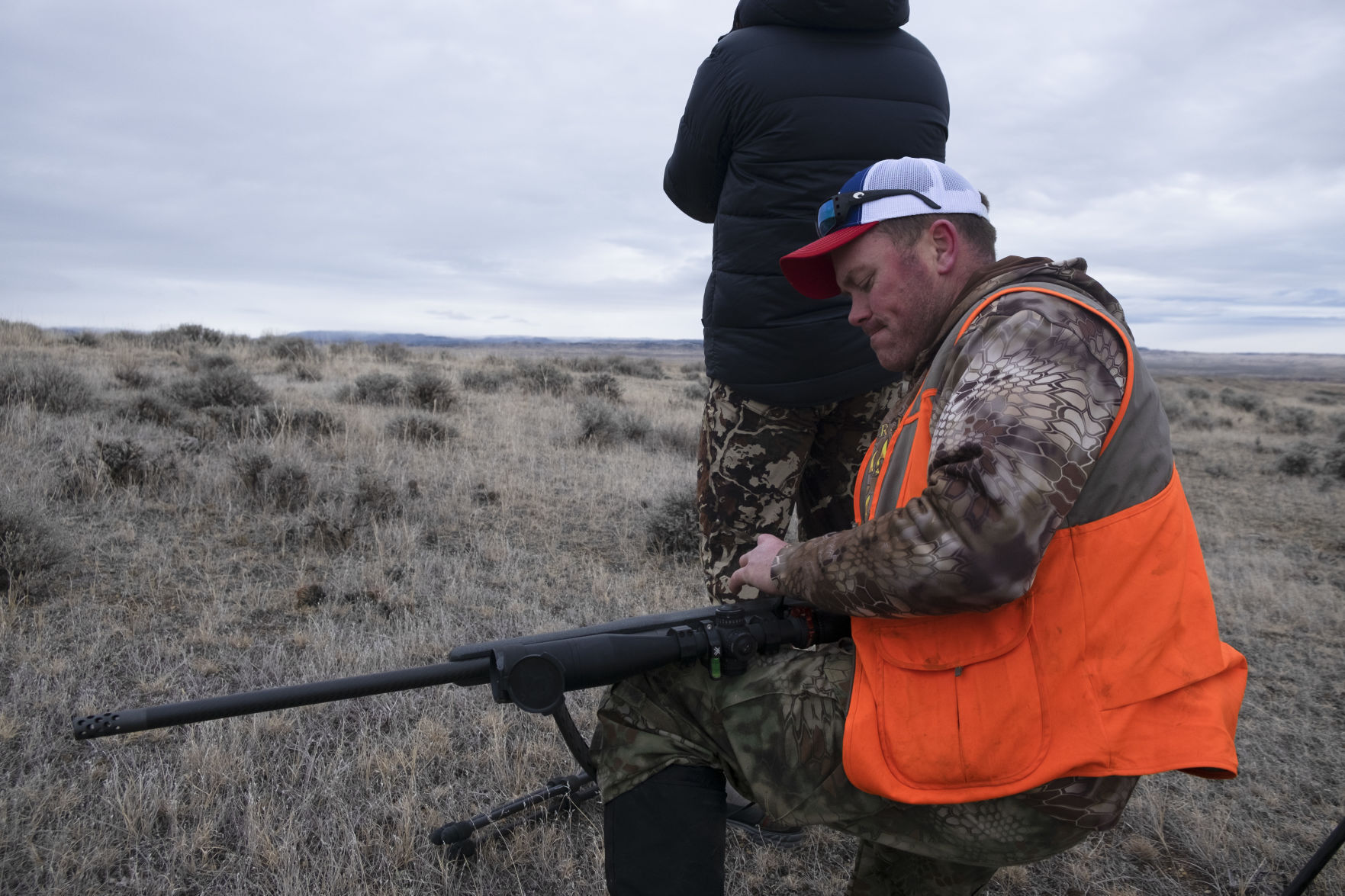 APR Bison Harvest
